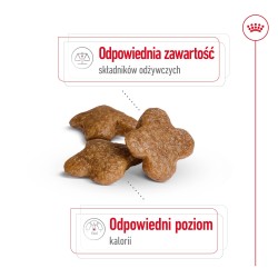 ROYAL CANIN SHN Mini Adult 8 8kg PROMO Uszkodzenie
