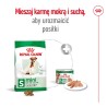 ROYAL CANIN SHN Mini Adult 8 8kg PROMO Uszkodzenie