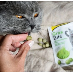 GIMCAT Gras Bits tabletki z trawą 425g