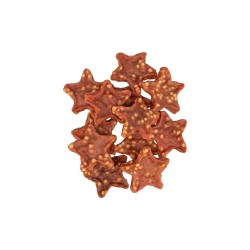 TRIXIE Xmas Premio Stars – przysmak dla psa kaczka i ryż 100g