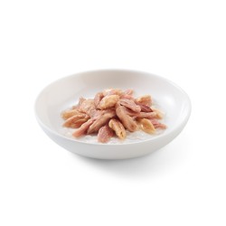 SCHESIR karma mokra dla kotów tuńczyk z łososiem w galarecie 85g (puszka)