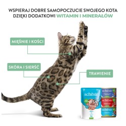 SCHESIR karma mokra dla kotów tuńczyk z sardynkami w galarecie 140g (puszka)