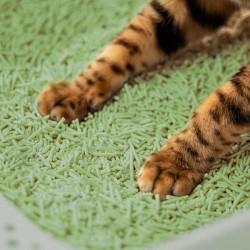 VELVET PAW Tofu żwirek ekologiczny o zapachu leśnej zieleni 6l