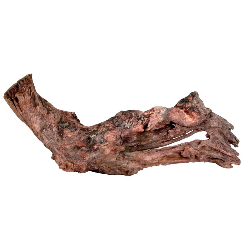 ZOLUX Ozdoba do akwarium korzeń Mangrowca 15-25 cm