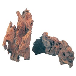 ZOLUX Ozdoba do akwarium korzeń Mangrowca 15-25 cm