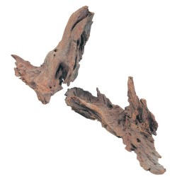 ZOLUX Ozdoba do akwarium korzeń Mangrowca 25-40 cm