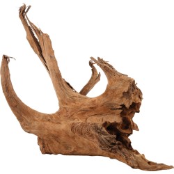 ZOLUX Ozdoba do akwarium korzeń Mangrowca 40-60 cm