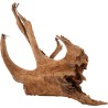 ZOLUX Ozdoba do akwarium korzeń Mangrowca 40-60 cm