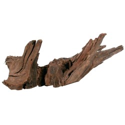 ZOLUX Ozdoba do akwarium korzeń Mangrowca 40-60 cm