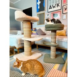 ZOLUX Drapak dla kota BOREAL 70cm - zielony