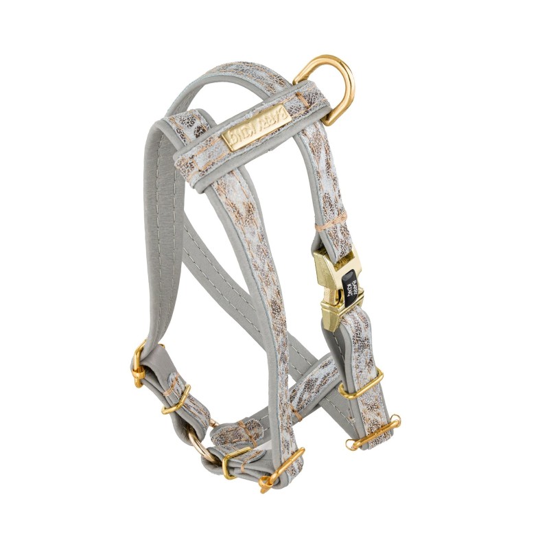 BARRY KING Szelki dla psa Wild Snow Leopard - szare S