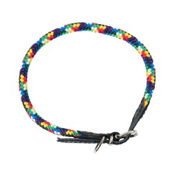 BARRY KING Obroża dla psa z klamrą - multikolor 8mm/50cm