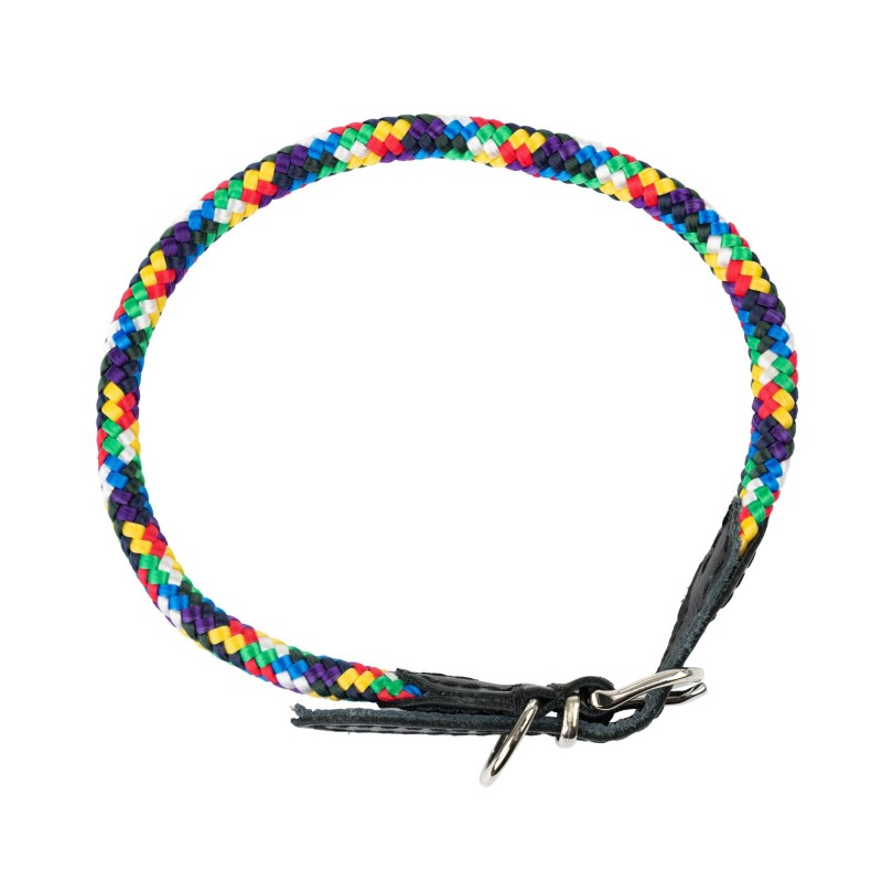 BARRY KING Obroża dla psa z klamrą - multikolor 8mm/40cm