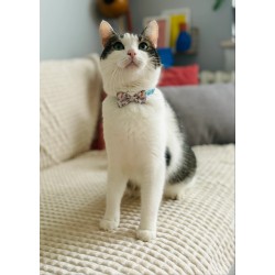 ZOLUX Obroża dla kota z muszką Chatouille - niebieska