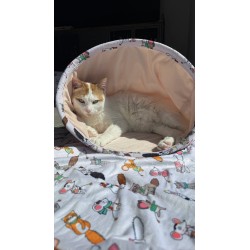 ZOLUX Legowisko dla kota pled wzór koty i myszy Chatouille 152,5x74cm