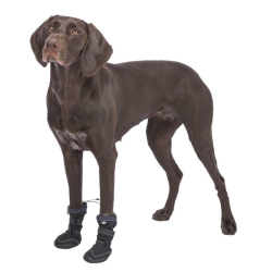 TRIXIE Walker Active Long buty dla psa - czarne XS-S