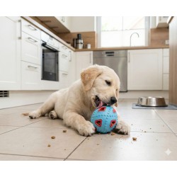 ZOLUX Zabawka dla psa do aportowania na przysmaki jajko 8cm