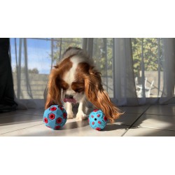 ZOLUX Zabawka dla psa do aportowania na przysmaki piłka 8cm