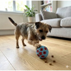 ZOLUX Zabawka dla psa do aportowania na przysmaki piłka 8cm