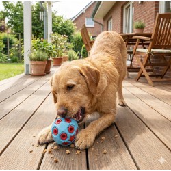 ZOLUX Zabawka dla psa do aportowania na przysmaki piłka 8cm