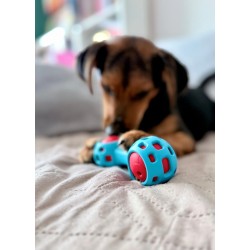 ZOLUX Zabawka dla psa gryzak na przysmaki hantel 13cm