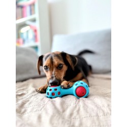 ZOLUX Zabawka dla psa gryzak na przysmaki hantel 13cm