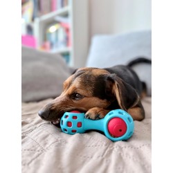 ZOLUX Zabawka dla psa gryzak na przysmaki hantel 13cm