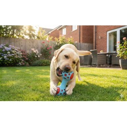 ZOLUX Zabawka dla psa gryzak na przysmaki hantel 13cm