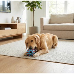 ZOLUX Zabawka dla psa do aportowania na przysmaki piłka 6cm