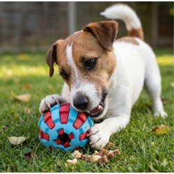 ZOLUX Zabawka dla psa do aportowania na przysmaki piłka 6cm