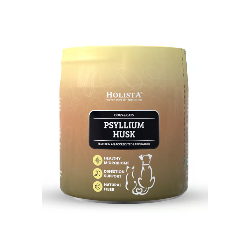 HOLISTA Psyllium Husk 100g