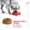ROYAL CANIN SHN Maxi Ageing 8 15kg PROMO Uszkodzenie