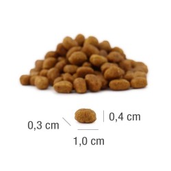 PLATINUM MeatCrisp Kitten Fish 400g PROMO Krótki termin