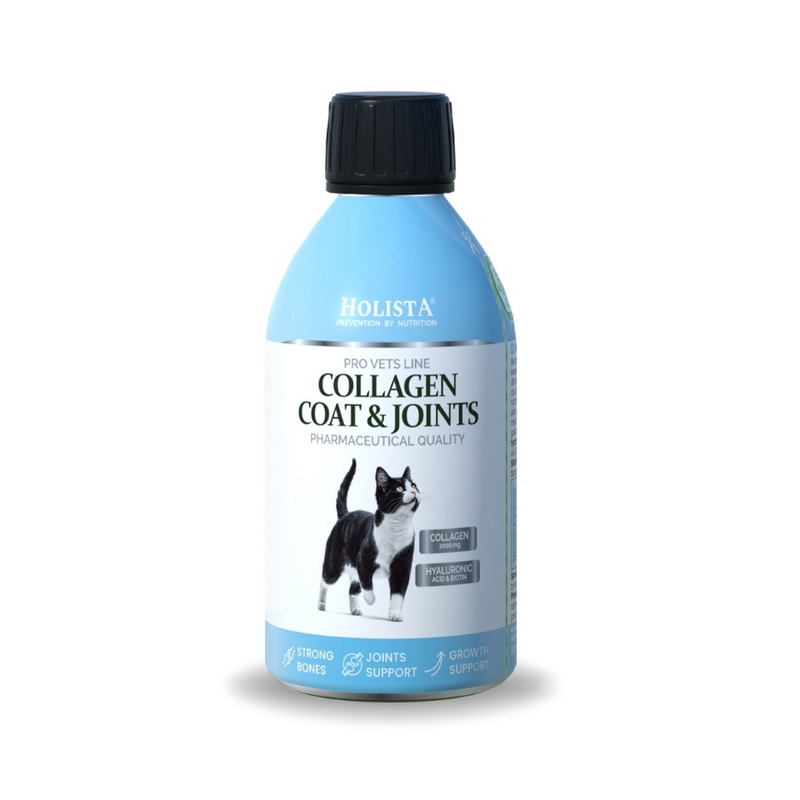 HOLISTA Kolagen w płynie Collagen Cats Coat & Joints 250ml