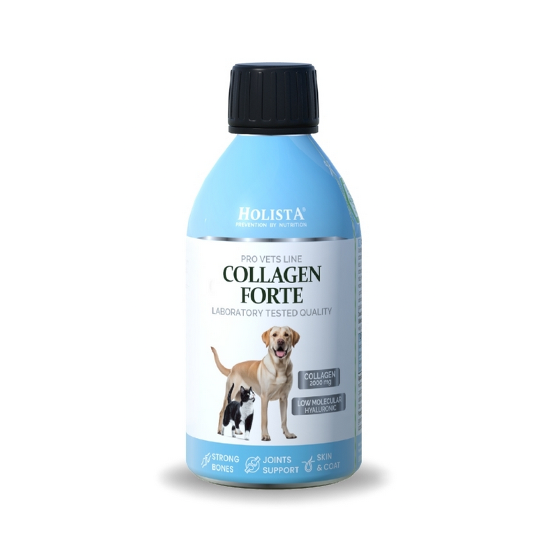 HOLISTA Collagen Forte 250ml