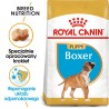 ROYAL CANIN BHN Boxer Bokser Puppy 12kg PROMO Uszkodzenie