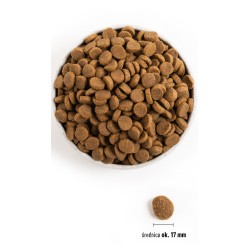 ACANA DOG Adult Large Breed 17kg PROMO Uszkodzenie