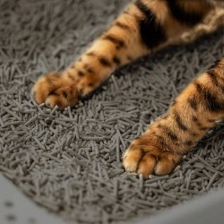 VELVET PAW Tofu żwirek ekologiczny z węglem kokosowym i esencją kokosową oraz migdałową 6l