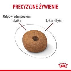 ROYAL CANIN CCN Medium Light Weight Care 12kg PROMO Uszkodzenie
