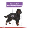 ROYAL CANIN CCN Maxi Sterilised 12kg PROMO Uszkodzenie