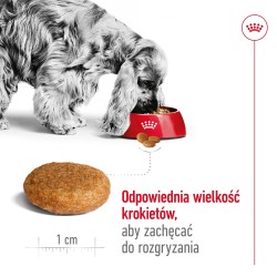 ROYAL CANIN SHN Medium Adult 7 15kg PROMO Uszkodzenie ubytek
