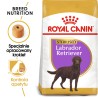 ROYAL CANIN BHN Labrador Retriever Sterilised Adult 12kg PROMO Uszkodzenie