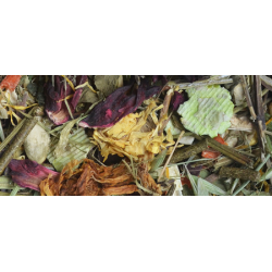 NATURAL-VIT Korona Natury - karma pełnoporcjowa dla szynszyli 750g PROMO Krótki termin