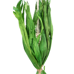 TRIXIE Kokos na linie z sizalu 35cm