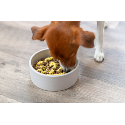 TRIXIE Mus wegetariański przysmak dla psa 300g