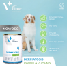VETEXPERT Veterinary Diet Dermatosis Dog Rabbit and Pumpkin 400g