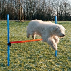 TRIXIE Płotek zręcznościowy - Stacjonatka 125 x 115 / 3cm