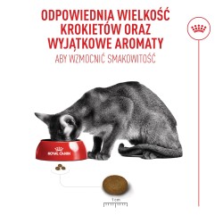 ROYAL CANIN Exigent Fussy karma sucha dla kotów dorosłych, wybrednych 4 kg
