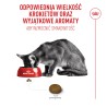 ROYAL CANIN Exigent Fussy karma sucha dla kotów dorosłych, wybrednych 4 kg