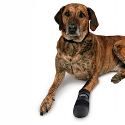 TRIXIE Buty ochronne Walker Care XXL